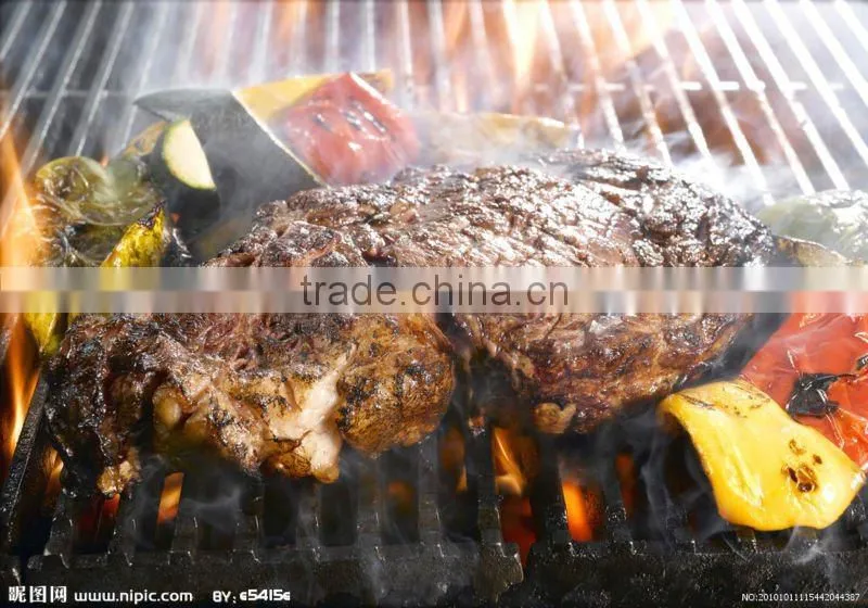 best price of single plate griddle machine