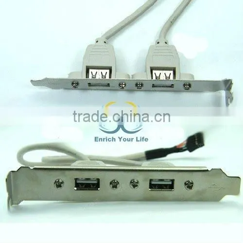 USB mainboard cable 2-Port Bracket