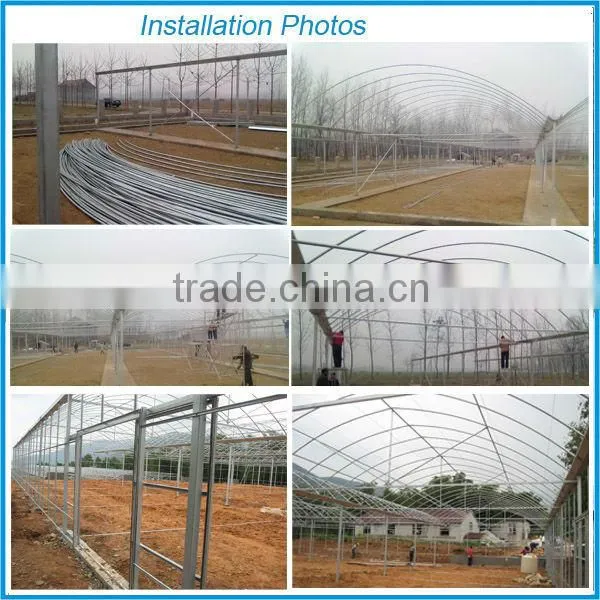 Multi-span plastic film greenhouse and forever flowering auto blackout greenhouse