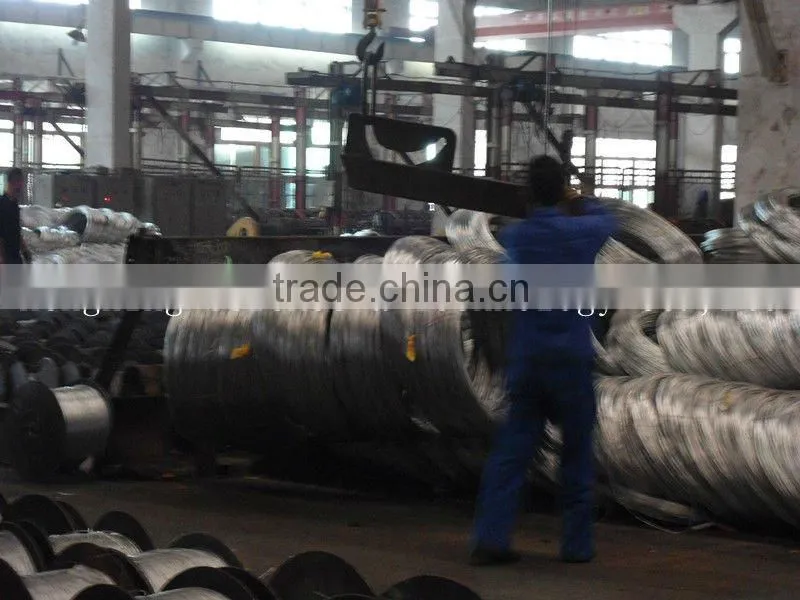 The China professional factory hot dipped galvanized steel wire for electric cables