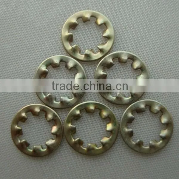 Internal teeth lock washer