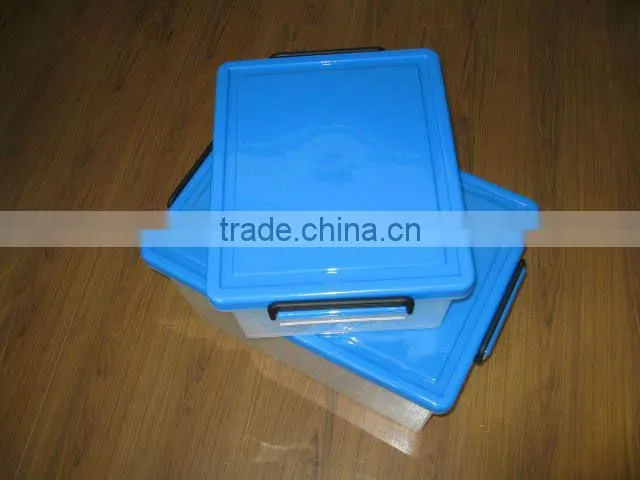 plastic cantainer mould
