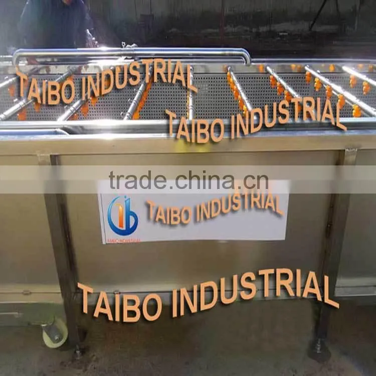 food machinery manufacturer washer type fruits and vegetables washing equipment