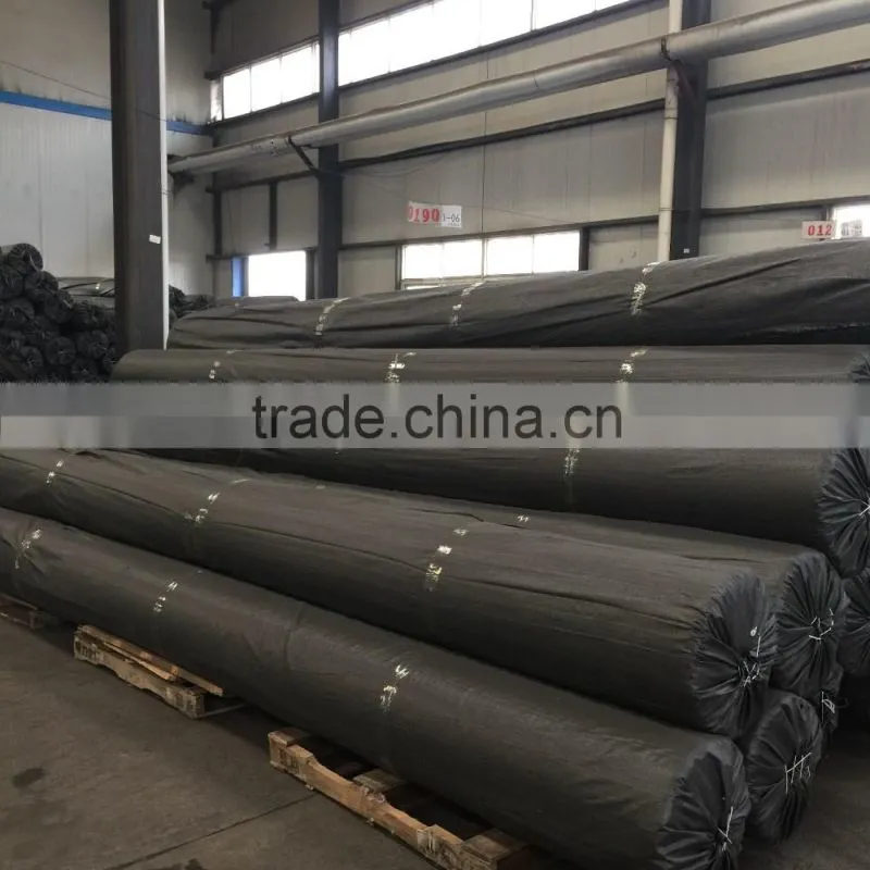 Polyester Geogrid/ BX Poliester Geogrid/ UX Poliester Geogrid