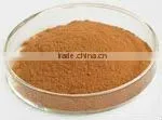 natural Rhodiola rosea extract