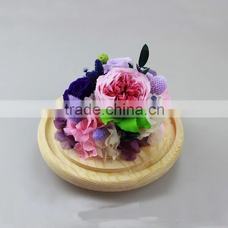 2016 Yiwu Aimee wholesale Valentine's Day gift preserved fresh cut flower(AM-PF02)