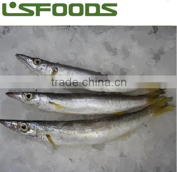 2014 new coming Frozen pacific saury from China