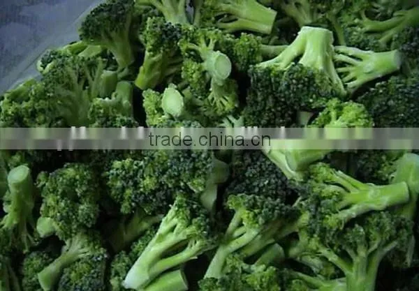 IQF Broccoli