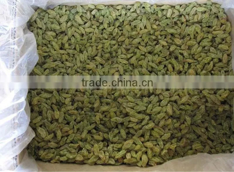 dried green raisin