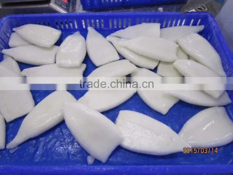 IQF squid tube Todarodes Pacificus