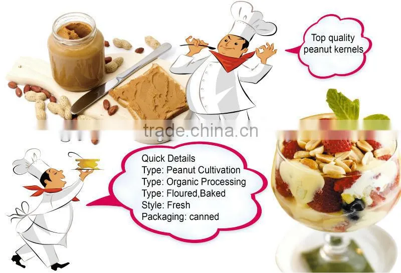 Canned Fried & Salted Peanuts Roasted 150g Groundnut