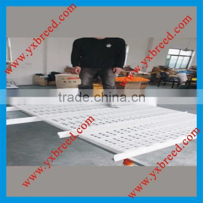 poultry plastic slat and support