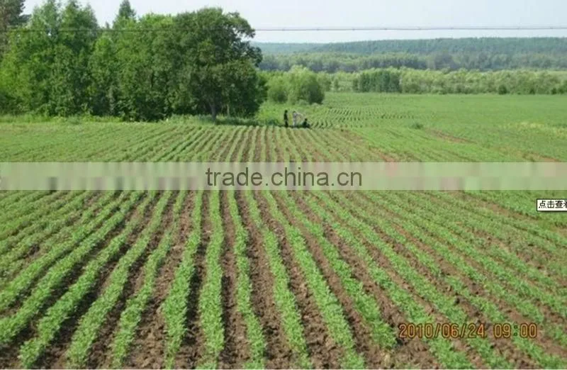 Widely Used Manual Bean Seeder