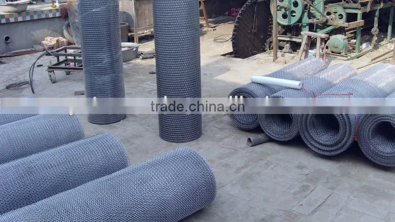Crimped Stainless Steel Wire Mesh