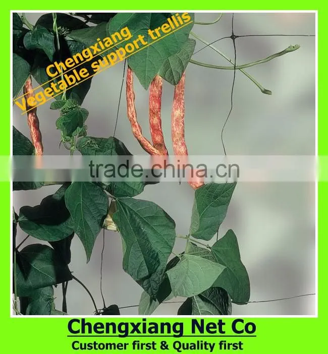 agrotextile--Windbreaker