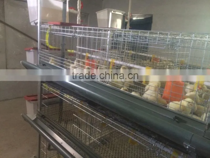 CE 3 Layers broiler battery cagefor cage chicken cage automatic chicken layer cage for sale in philippines HJ-HC120