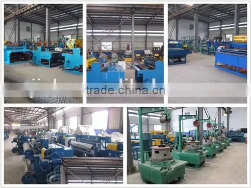Galv. hexagonal wire mesh machine /reverse twist hexagonal wire mesh machine