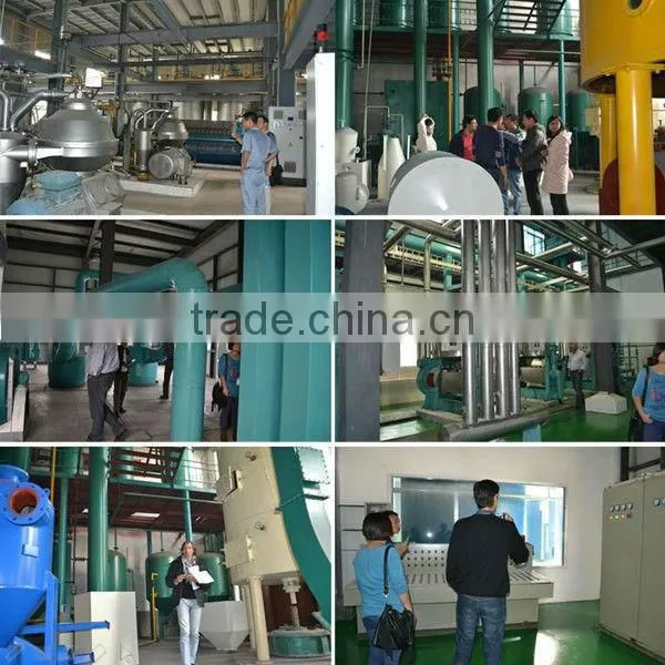 the best selling rapeseed oil prepressing and pressing machine in Canton Fair