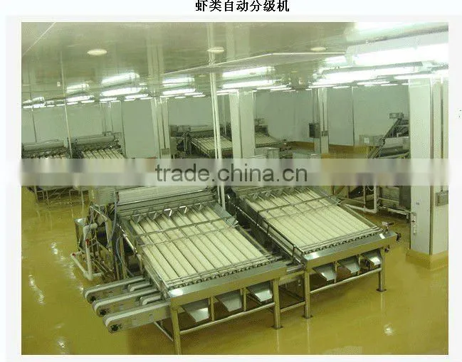 Shrimp And Similar Fish Grading Machine