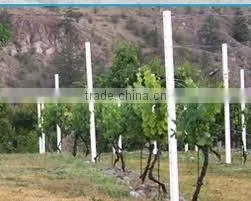 vineyard stake