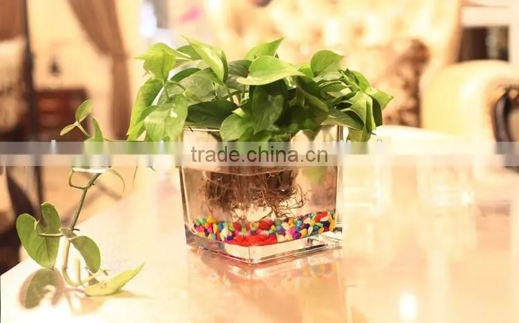 hot sale hand blown square glass vase