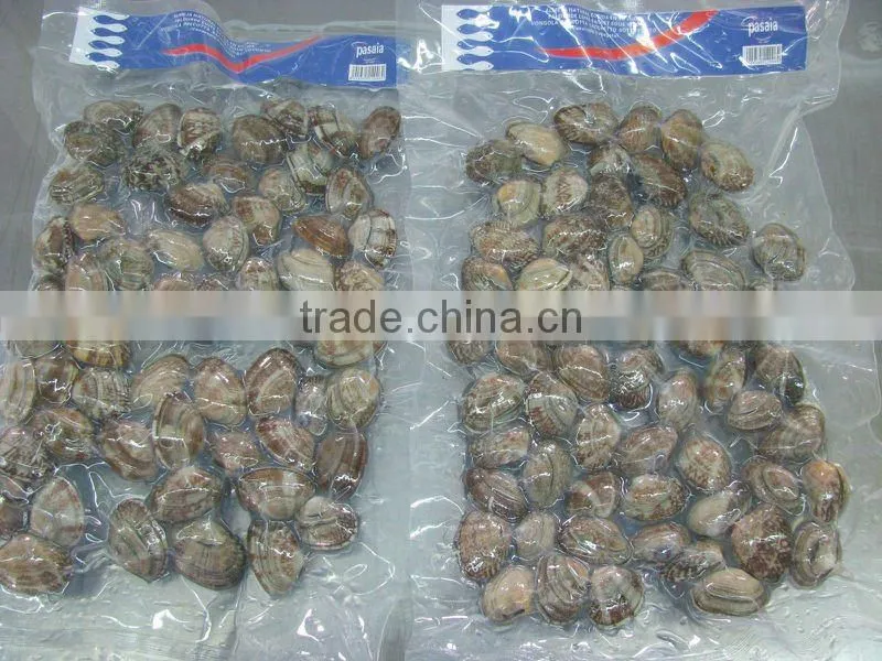 Frozen Baby clam in shell vacuum pack