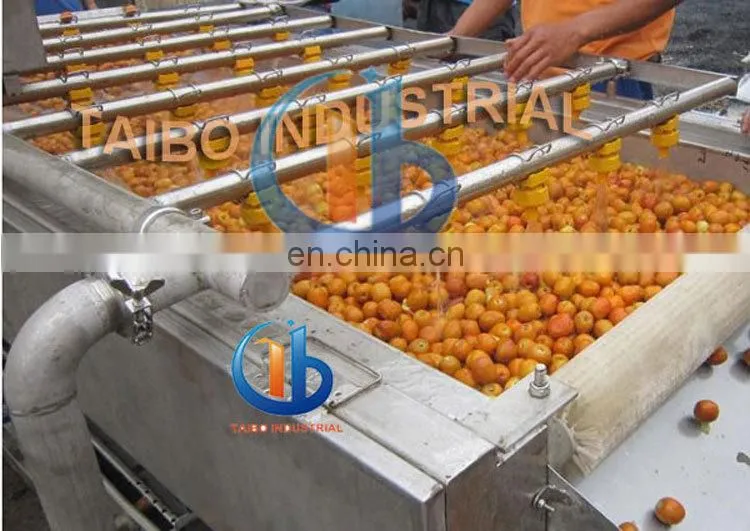 fruit washing line for oranges/lemons/citrus/avocado washing machine