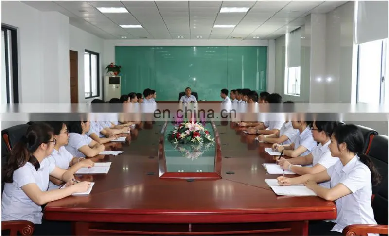 Fire rated MgO cement EPS/EPS SIP sandwich panel for external wall
