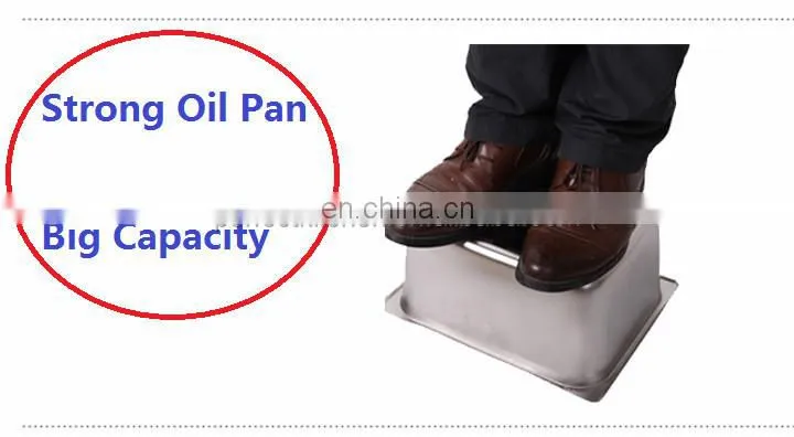 8L Stainless Steel Electric fish Fryer / Double Tanks chips Fryer