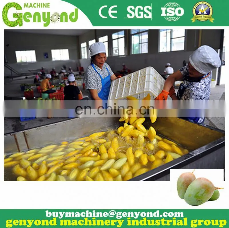 Small mango processing machine