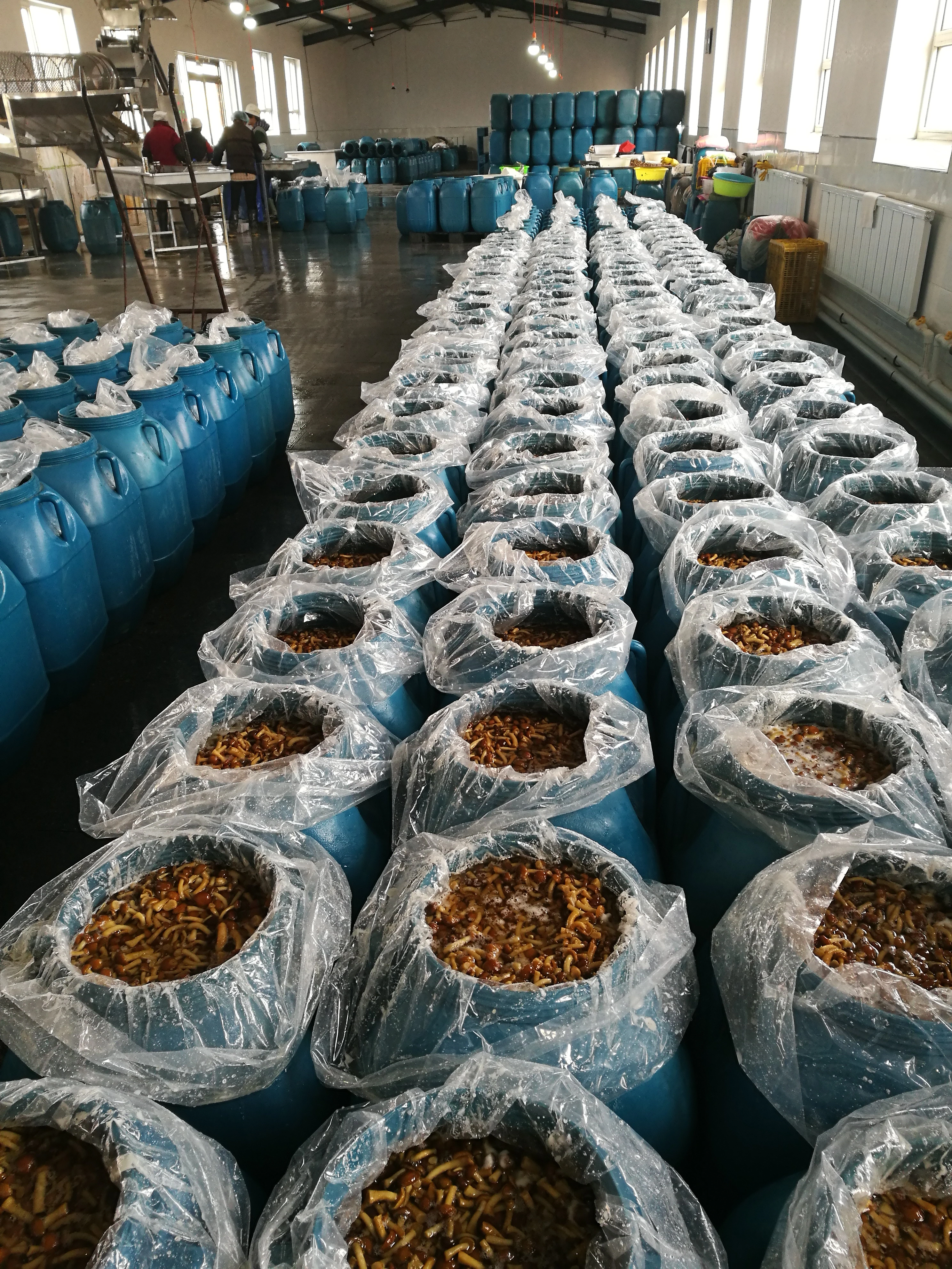 Xiuyan Funong Edible Fungi Production Professional Cooperatives company overview - view 2