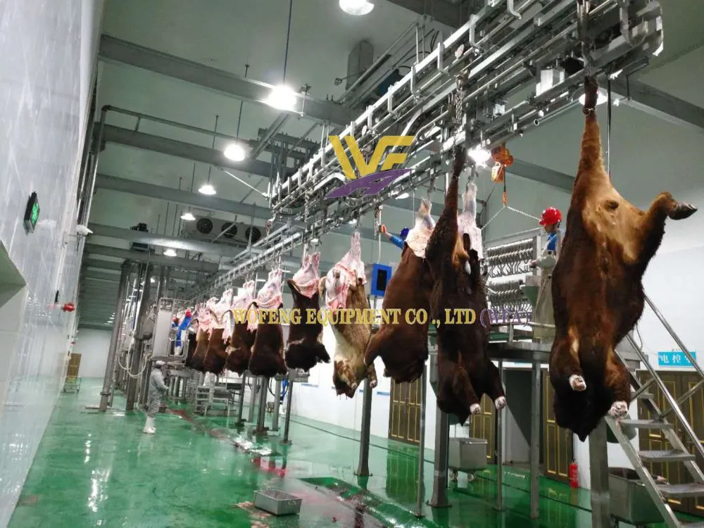 WFA Cattle Carcass Convyor (6)
