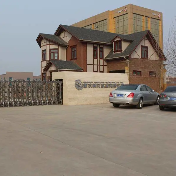 Shenlong Bayer Technology Hengshui Co., Ltd. company overview - view 1