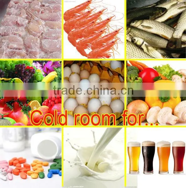 China cold room for fish, pear and peach