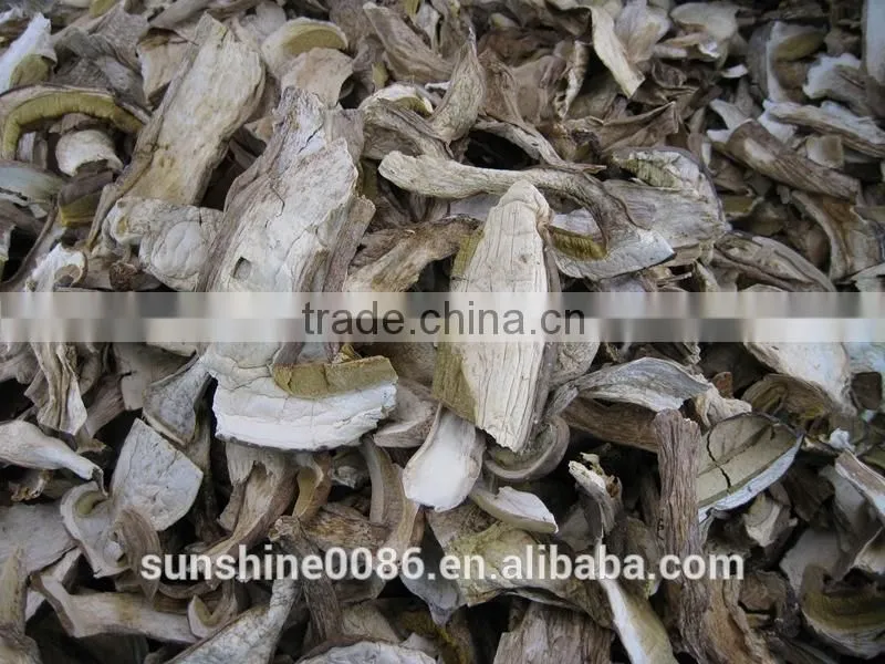 High Quality High Quality Dried Boletus Mushroom in Yunnan