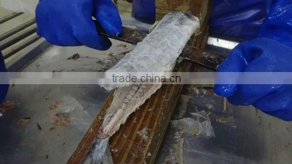 Frozen IQF Spanish Mackerel Fillet IQF Scomberomorus Niphonius King Fish Fillet