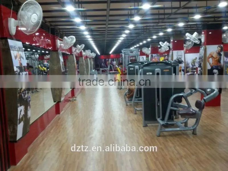 Adjustable Abdominal Bench/Exercise Bench/Tianzhan TZ-8027