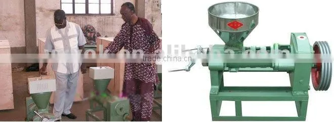 Cheap screw oil press