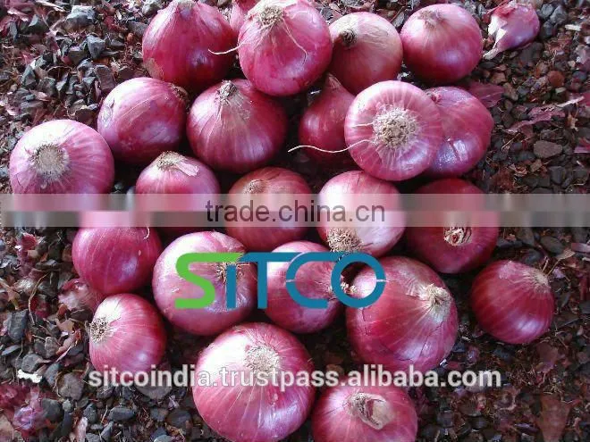 Fresh Golti Onion