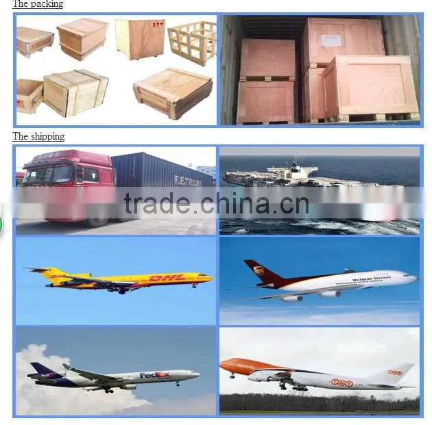 egg tray packaging pulp molding machine