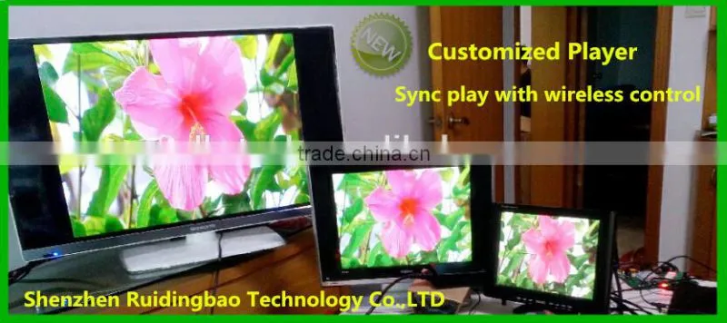 Lan sync advertising media player