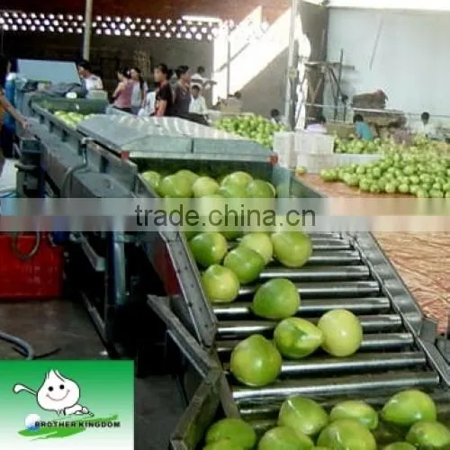 Chinese pomelo supplier