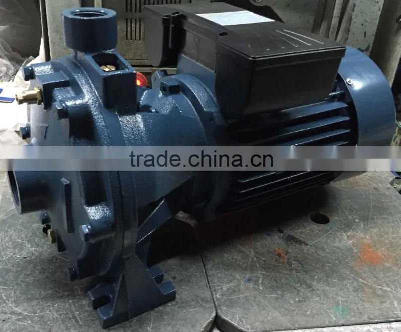 2CPM25/160A double impeller small water pump