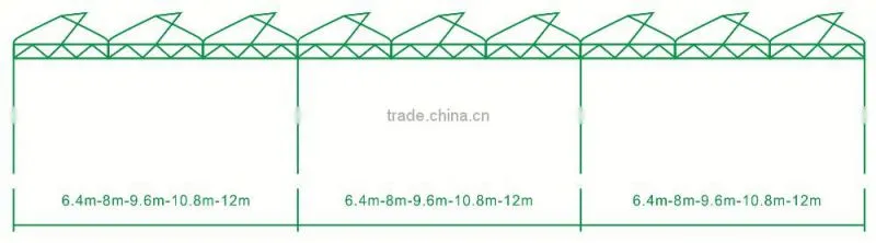 High Quality Glass Greenhouse for vegetable