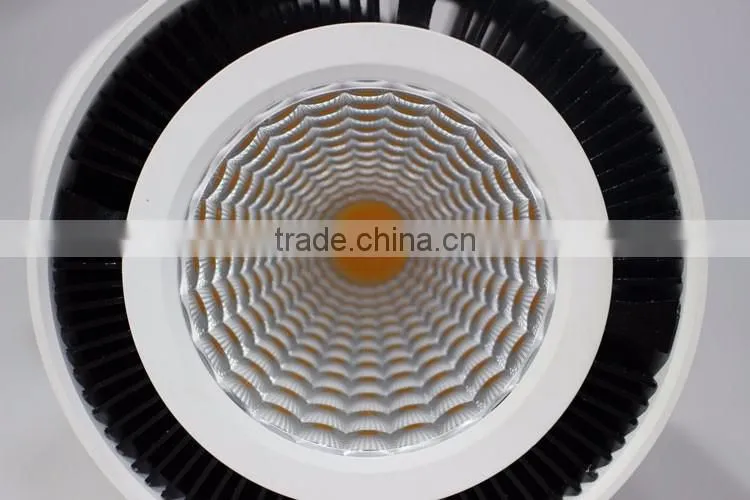 SAA Approved White/chrome LED Surface Mounted Downlight with 12w