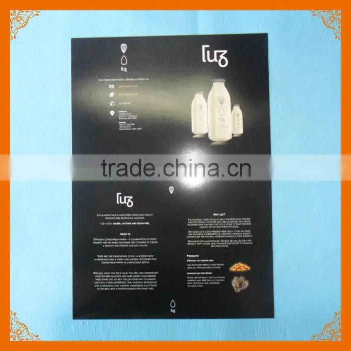 dl business flyer printing
