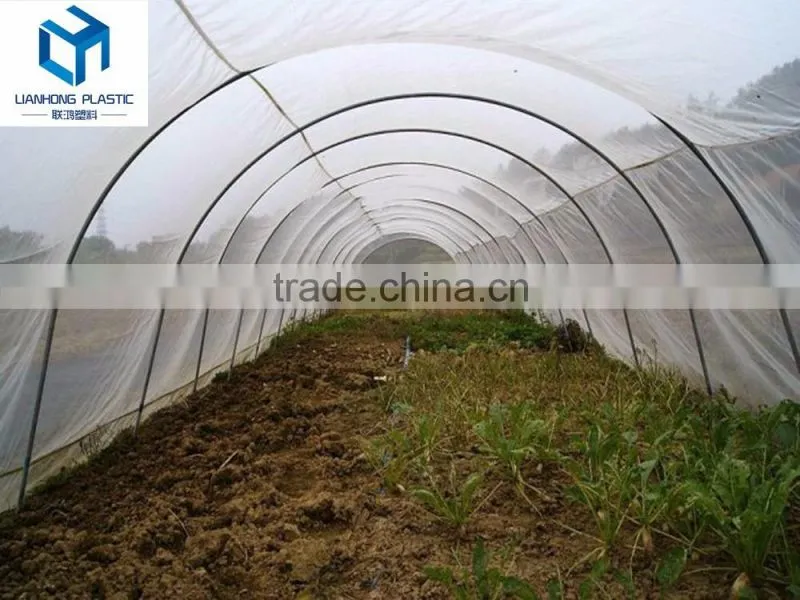 Greennhouse anti bug net, hdpe insect bug proof net