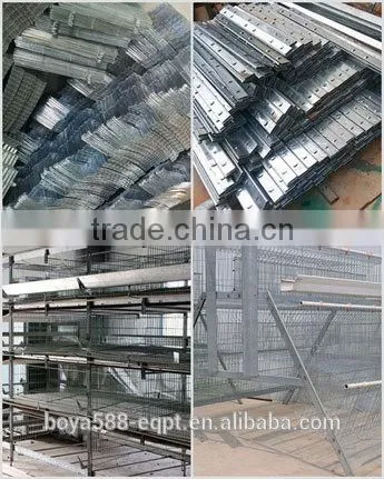 economic broiler chicken cage