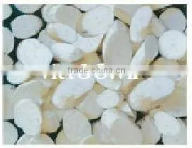 Cheap Price Cassava Chip 04