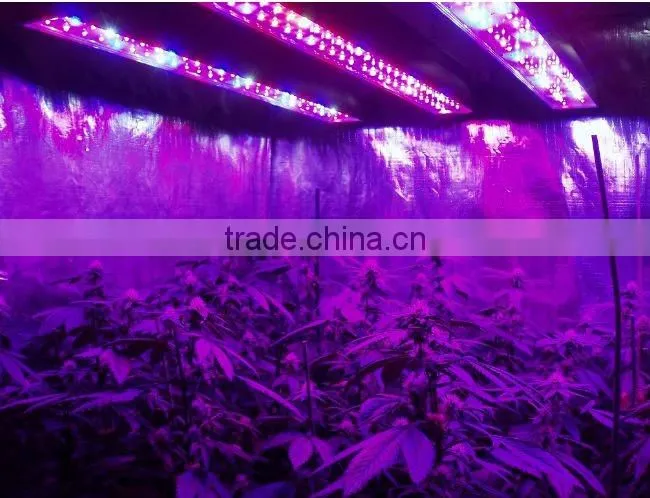 Single 3w chip High efficiency LED grow light